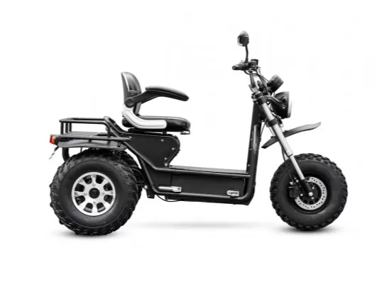 All Terrain Off Road Mobility Scooter 80km Battery Life【Free three-year warranty】