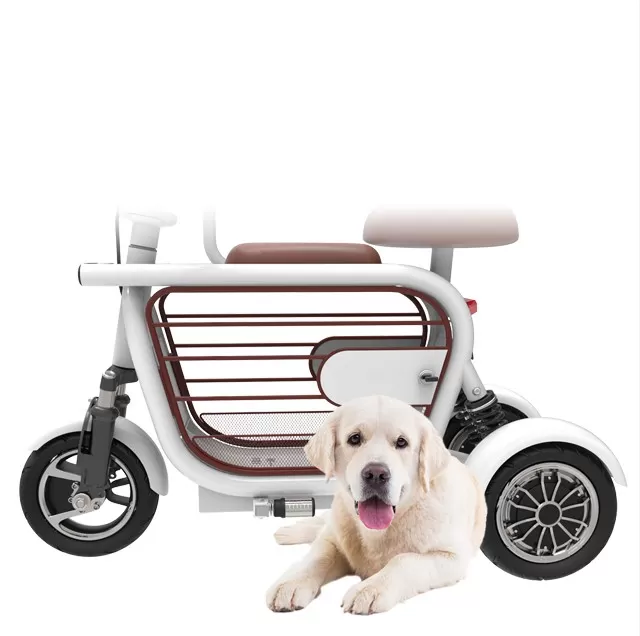 💥Clearance Sale💥2025 new 400W long range electric bike 3 wheeler