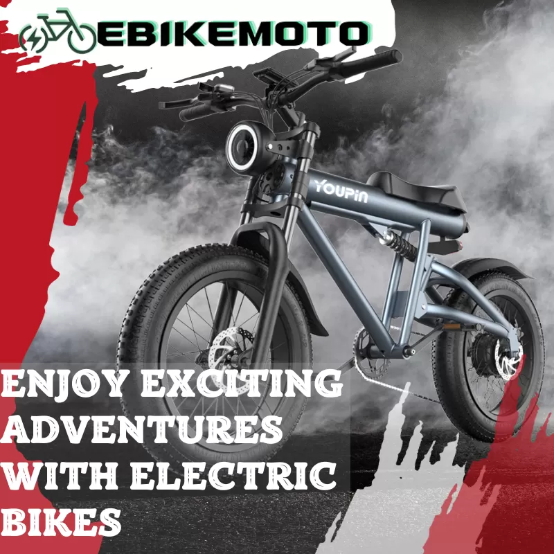 E-bike Gun Barrel Truck 48V 22.5Ah 1000W All Terrain Off-road Electric Vehicle